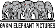 GVKM Elephant Pictures Logo