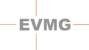 Eagle Vision Media Group Logo