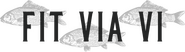 Fit Via Vi Logo