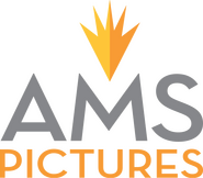AMS Pictures Logo