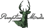 Perception Media Logo