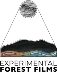 Experimental Forest Films Logo