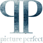 Picture Perfect Logo