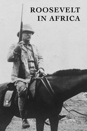 Roosevelt in Africa Poster