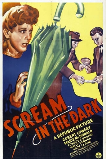 A Scream in the Dark Poster