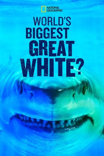 World's Biggest Great White? Poster