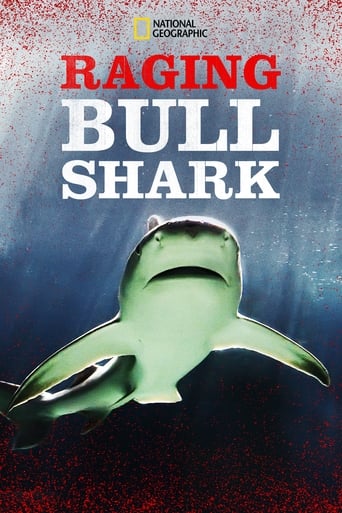 Raging Bull Shark Poster