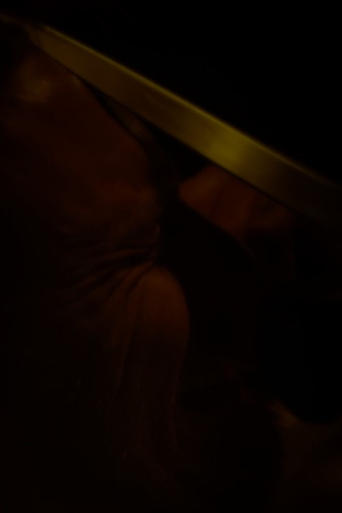 Is Someone There? Poster