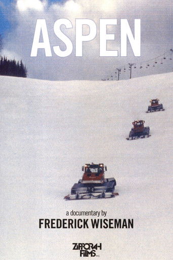 Aspen Poster