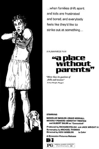 A Place Without Parents Poster