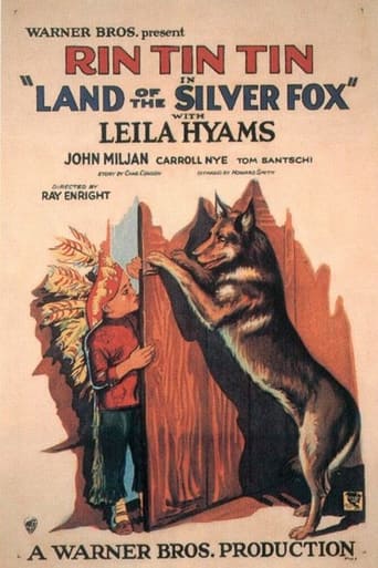 Land of the Silver Fox Poster