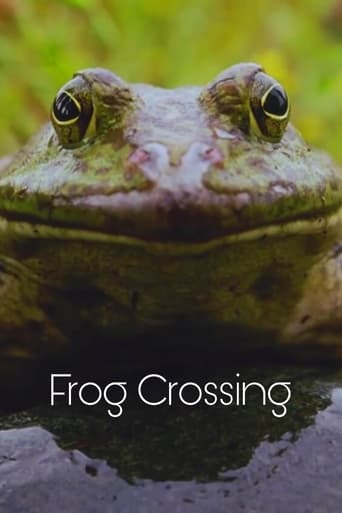 Frog Crossing Poster