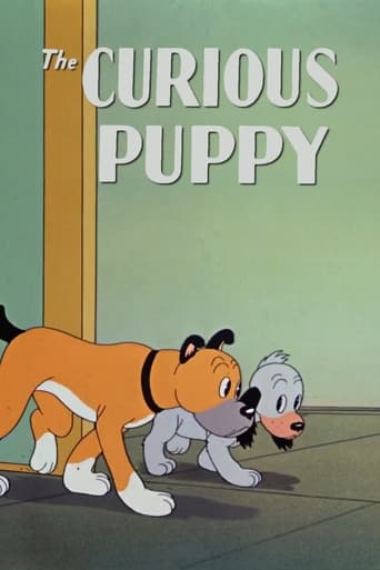 The Curious Puppy Poster