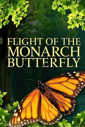 Flight of the Monarch Butterfly Poster