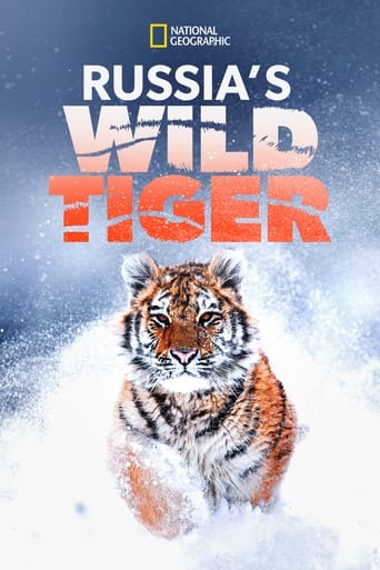 Russia's Wild Tiger Poster