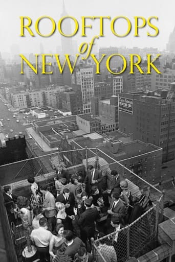 Rooftops of New York Poster