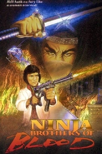 Ninja Knight: Brothers of Blood Poster