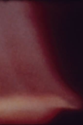 Arabic Numeral Series 7 Poster