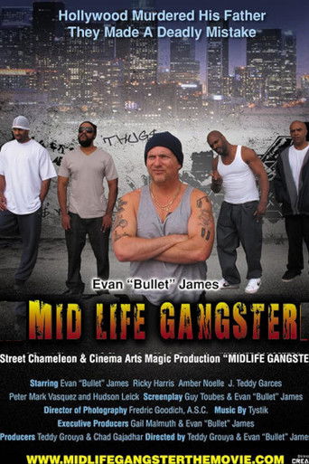 Mid Life Gangster Poster