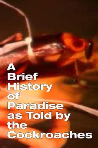 A Brief History of Paradise as Told by the Cockroaches Poster