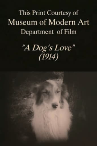 A Dog's Love Poster