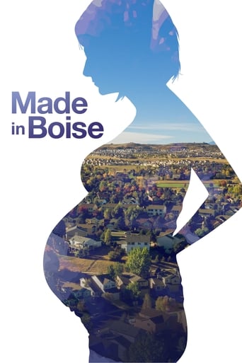 Made in Boise Poster