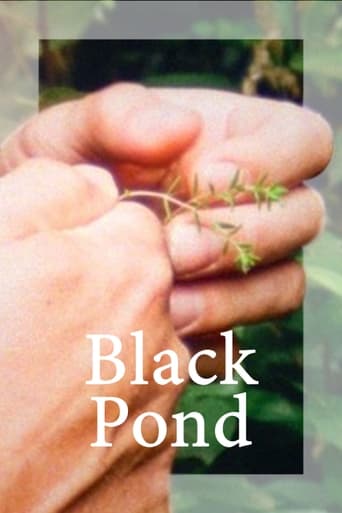 Black Pond Poster
