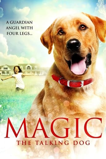Magic Poster