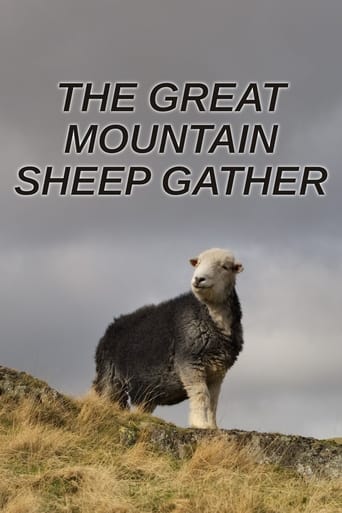 The Great Mountain Sheep Gather Poster
