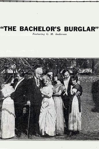 The Bachelor's Burglar Poster