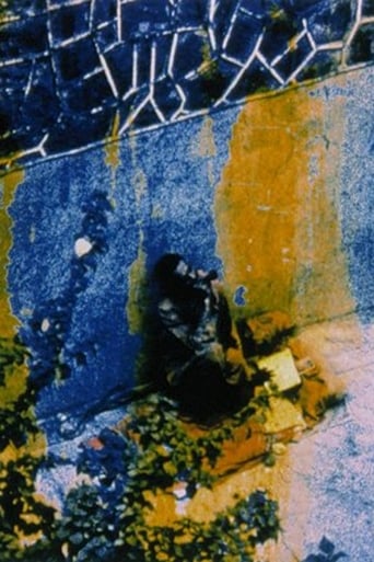 Friendly Witness Poster