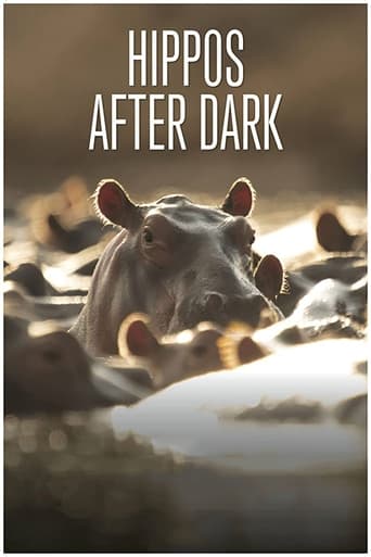 Hippos after Dark Poster