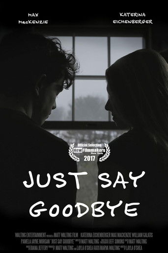 Just Say Goodbye Poster