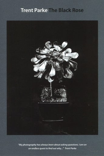 Trent Parke: The Black Rose Poster