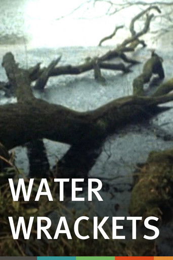 Water Wrackets Poster