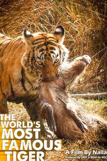 The World's Most Famous Tiger Poster