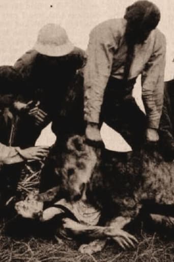 Alone in the Jungle Poster