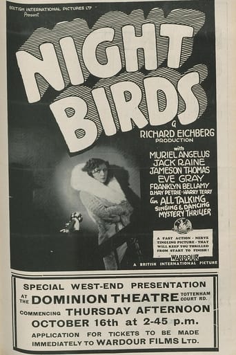 Night Birds Poster