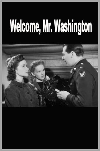 Welcome, Mr Washington Poster
