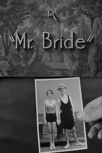 Mr. Bride Poster