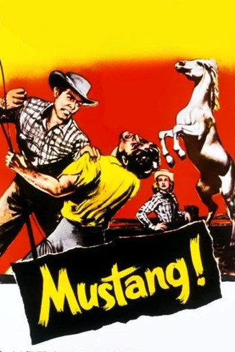 Mustang! Poster