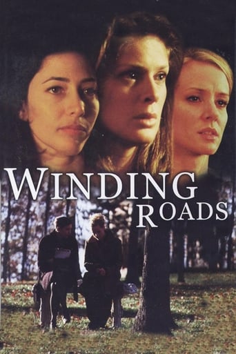 Winding Roads Poster