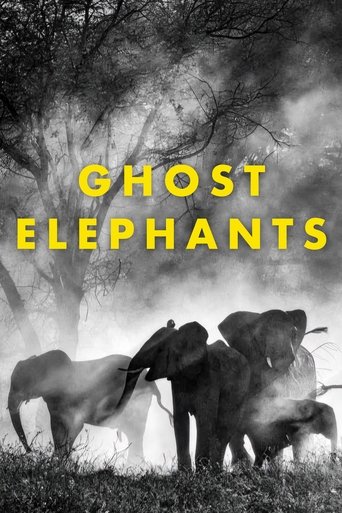 Ghost Elephants Poster