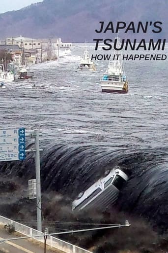 Japan's Tsunami: How It Happened Poster