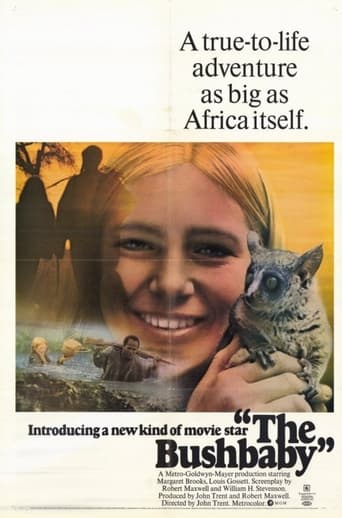 The Bushbaby Poster