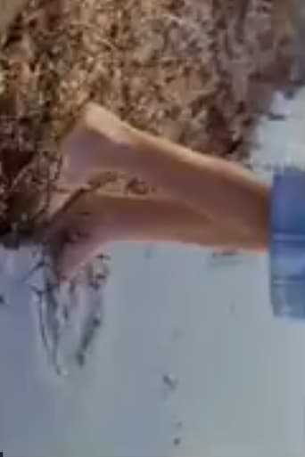 Six and a Half Poster