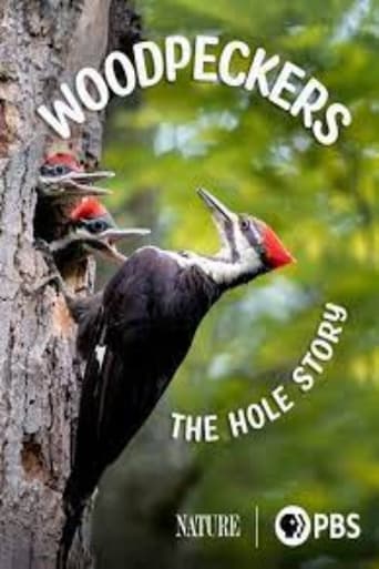Woodpeckers: The Hole Story Poster