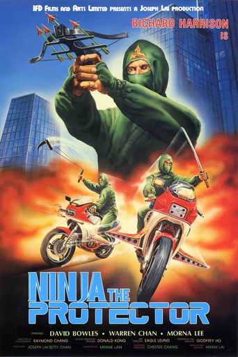 Ninja the Protector Poster