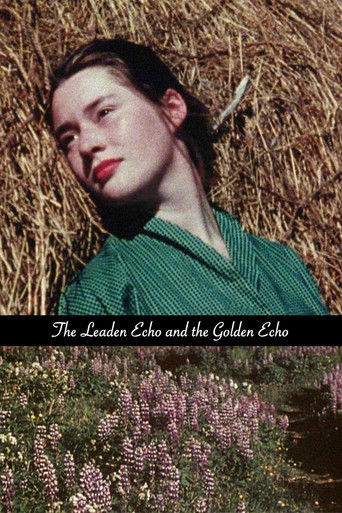The Leaden Echo and the Golden Echo Poster