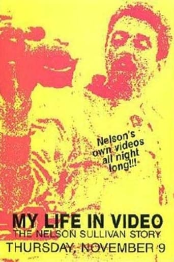 Nelson Sullivan's Video Diaries Poster